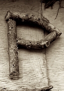 Wall_Art_Alphabet_Photography_Art_ 1805